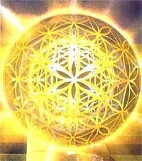 166851_124408290960306_100001734060215_175390_1742010_n