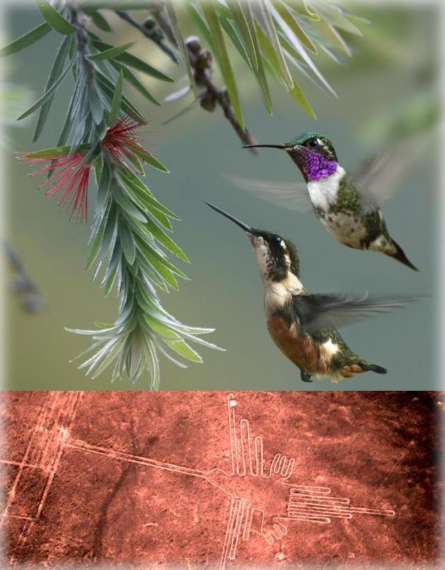 168545_164191347073228_803657451_n