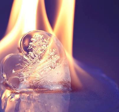 404649_269423569827575_853621769_n