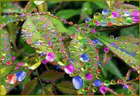 409181_410303759065269_1102329487_n