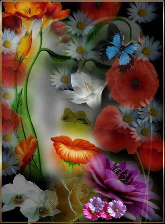 480015_327104357412653_492778756_n