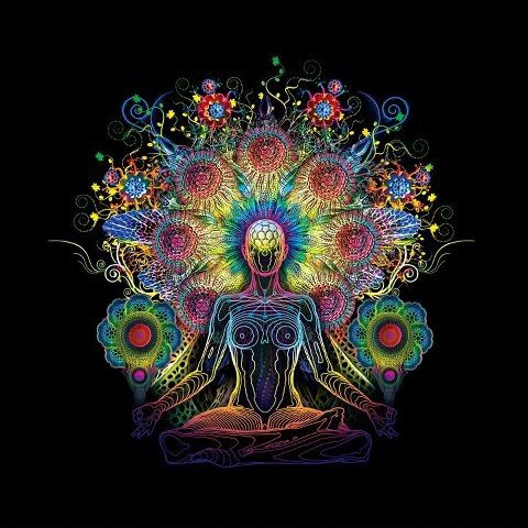 526897_322536667849647_1815131640_n