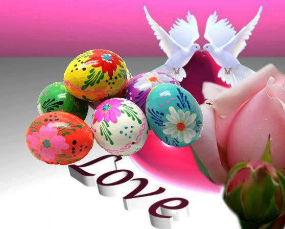 644259_325720540884368_1286686053_n