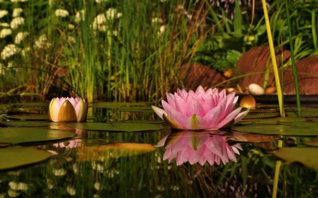 734528_583452848346304_1129388886_n