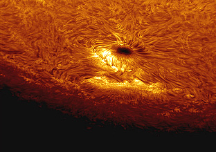 2010031110solbuenaport