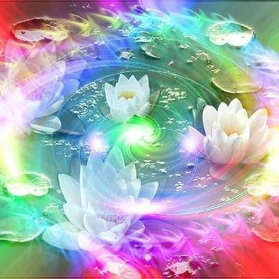 262433_388544047921197_955984296_n