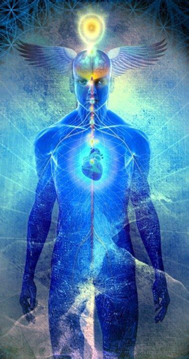 267545_284342271672514_632919182_n