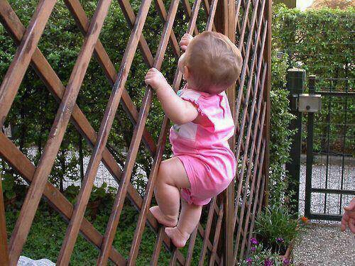 299170_325724804217275_277631249_n