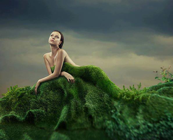 320337_528633217204217_1022242868_n