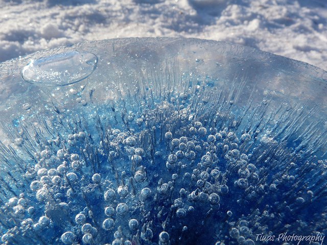 426495_490564880980458_856950718_n