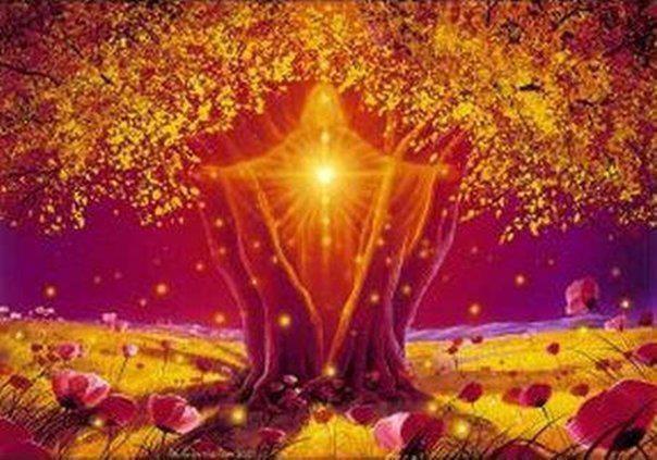 428523_457133244364211_1357754818_n