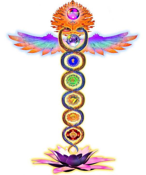 481329_424133817621182_1078051317_n