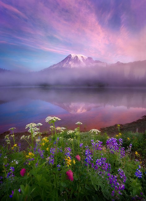 534795_597891450234461_1518944329_n