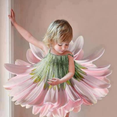 535917_364739836970555_1402795320_n