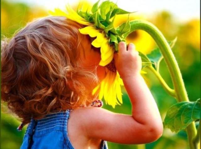 559638_415944055106825_1778416938_n