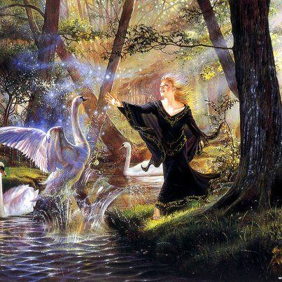 562020_143708059108864_316920315_n