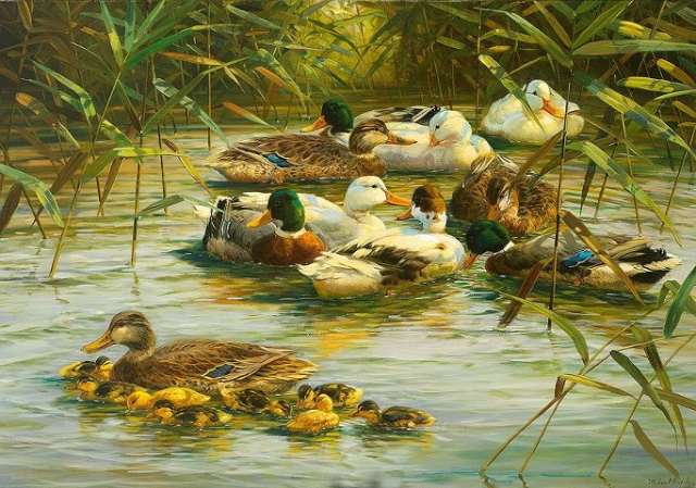 603788_568998993141068_1895003657_n