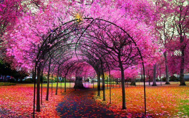 734134_583546291670293_613305579_n