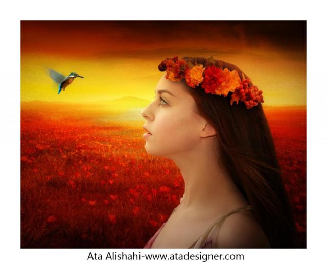 905420_492006080866024_1377048373_o