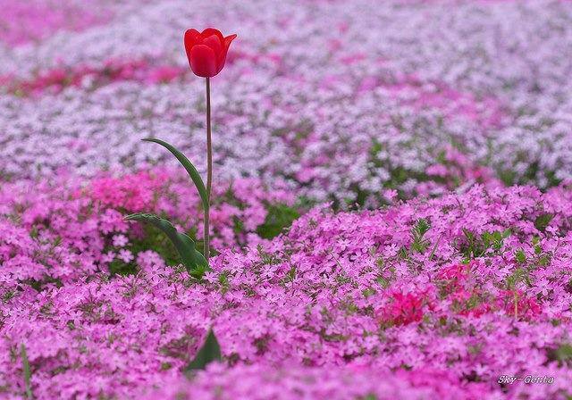 923530_567559939951640_782325609_n