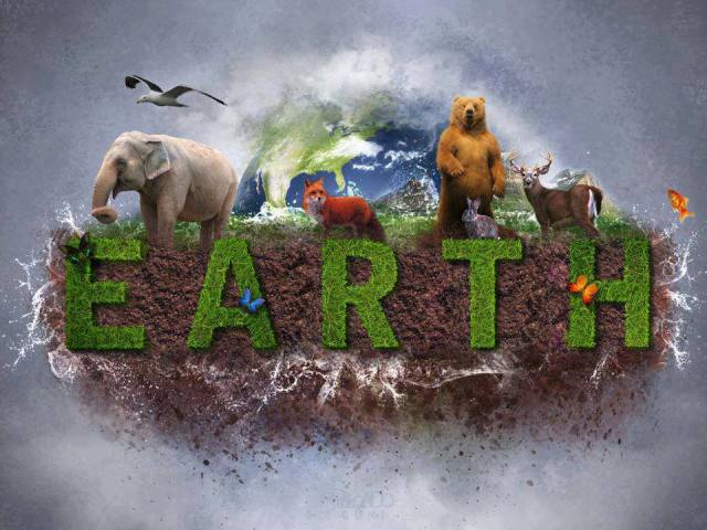 931151_268831993262037_853522703_n