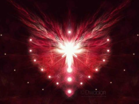 943579_461450823932453_2111954713_n