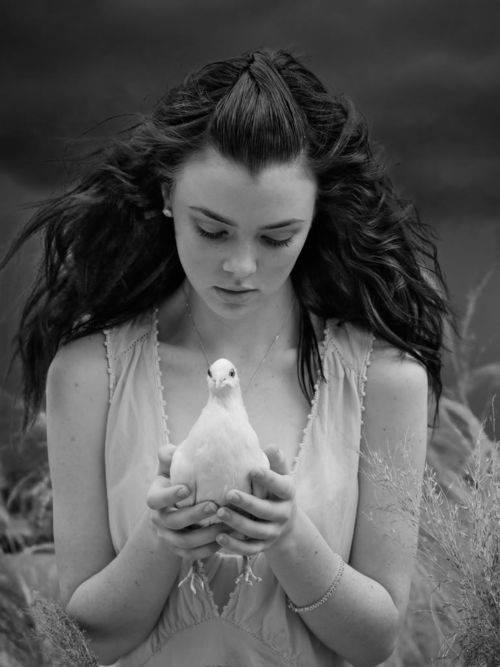 945365_582719868425093_1101535674_n