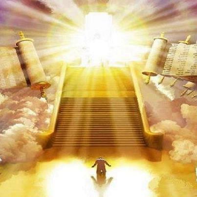 946140_457272341016968_785907299_n