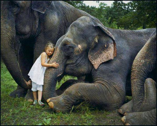 960226_493518480721605_1187905508_n