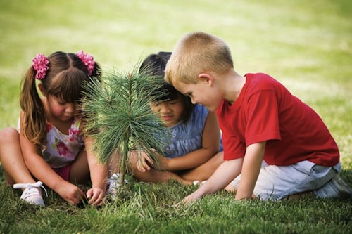 chicos-plantando-un-arbol