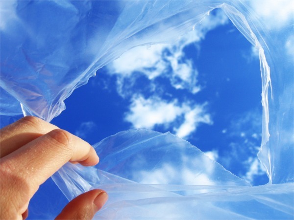 Velos rasgados 21_03_12