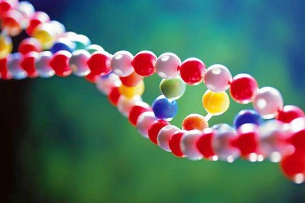 web_adn-700-terab_big_tp