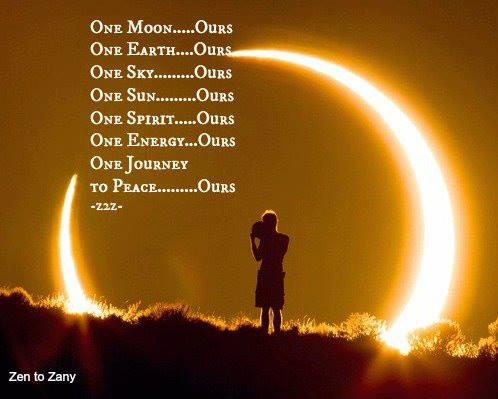 1001039_428221810618012_162413736_n