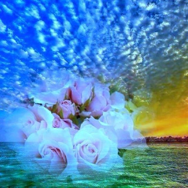 1001171_345919948870383_1521276790_n