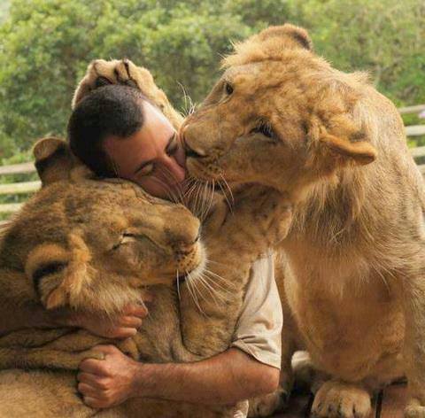 1001317_522286001160521_822730705_n