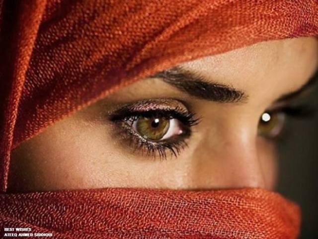 1001838_535475686519970_1261581338_n