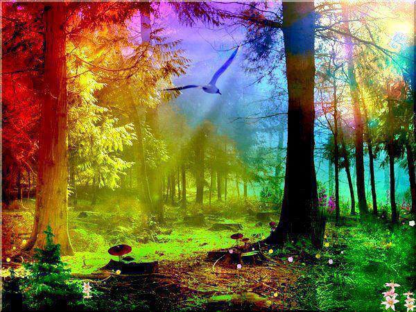 1003131_276161549190452_1598062685_n