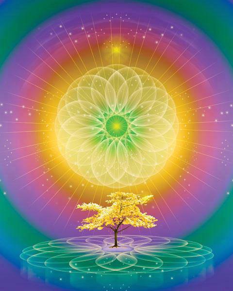 1010272_674025572611328_8727095_n