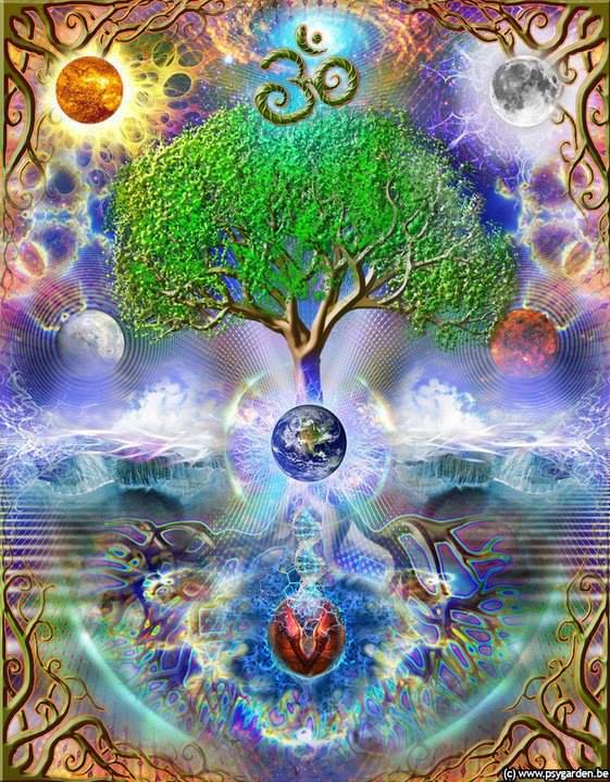 1011738_470017146420578_1580391926_n