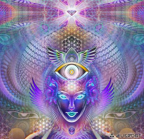 1014284_470348656387427_568633042_n