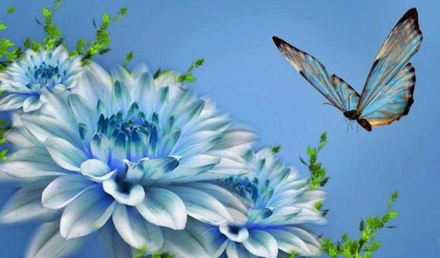 181228_299977090093875_352105451_n