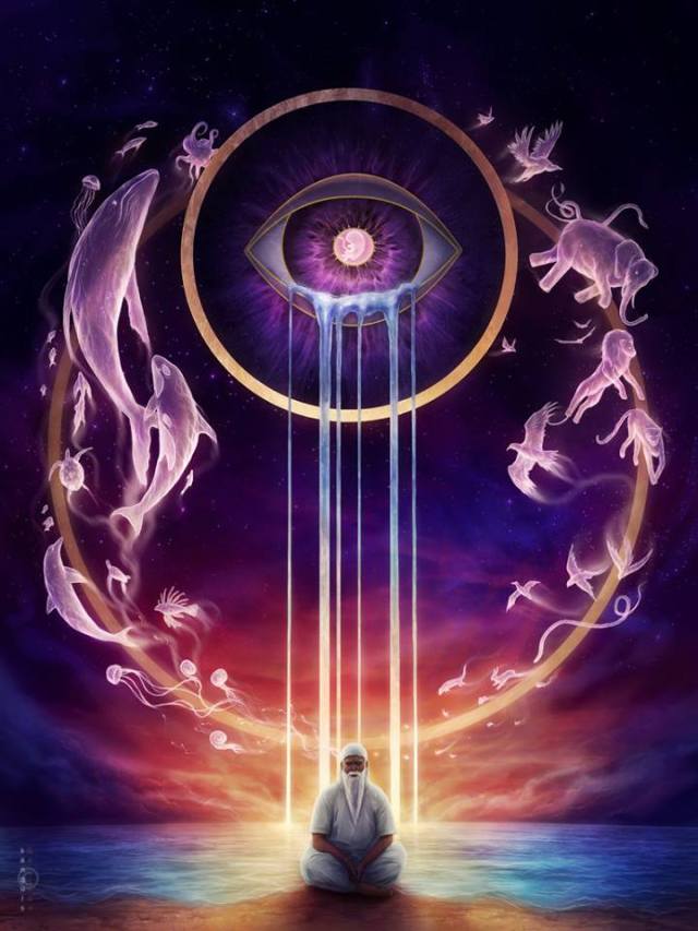 181244_340246932768143_834403702_n