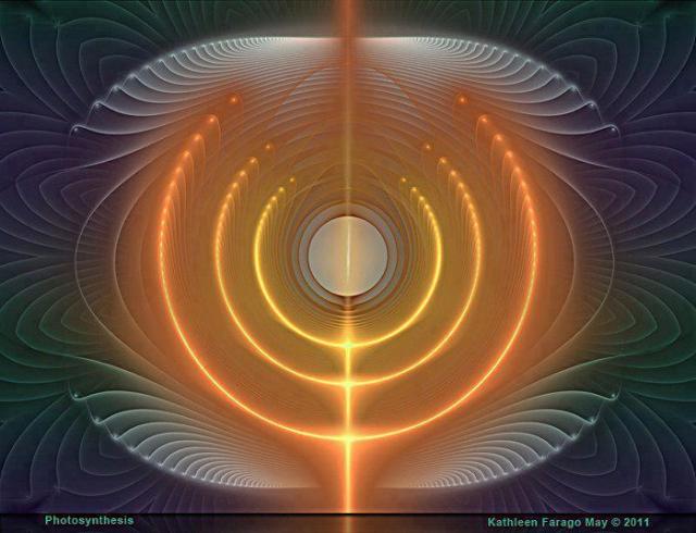 181425_498864023502403_1494024044_n