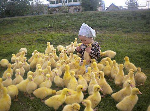 182987_4119153037094_482633448_n