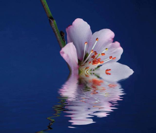 255548_4878525008108_588615078_n