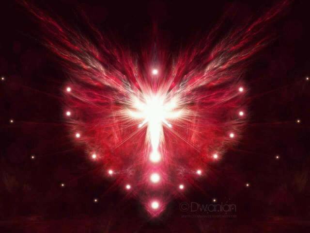 270128_503479443052021_1701880440_n