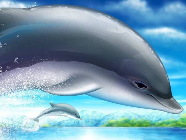 316136_617608594929413_11874835_n