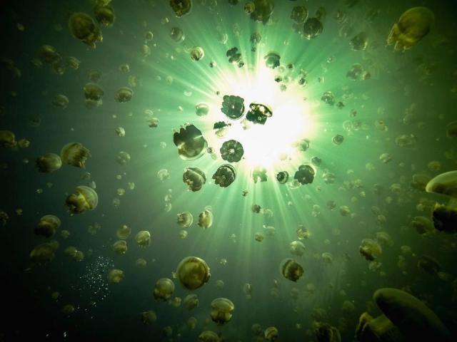 35026_326177970818850_1818468237_n