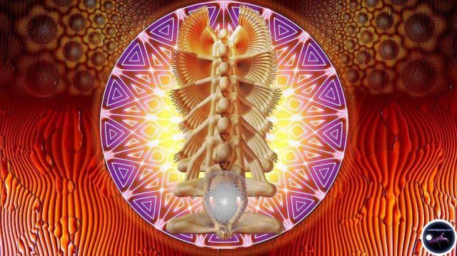 375154_336584109778236_151047456_n