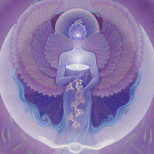 432146_502122629854369_265186511_n